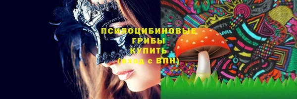 шишки Навашино