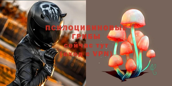 шишки Навашино