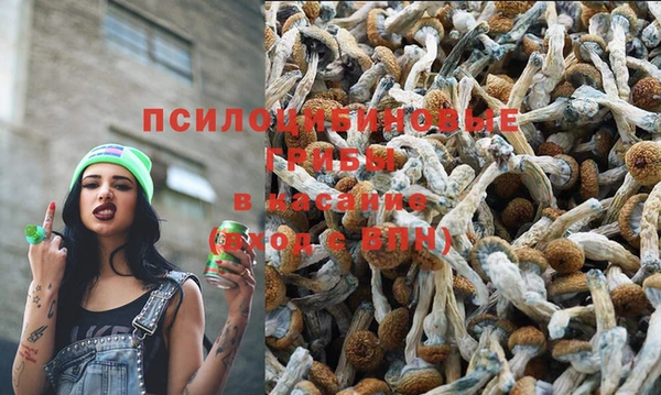шишки Навашино