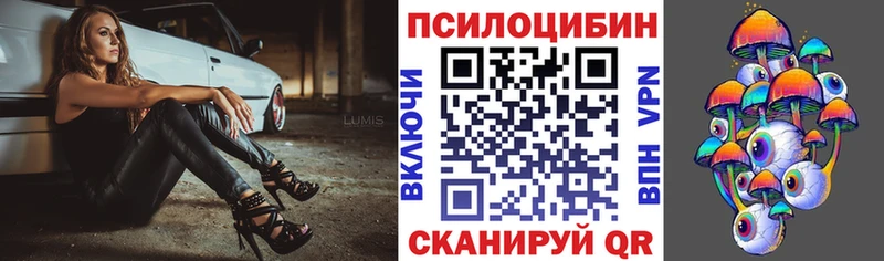 где купить Сальск Галлюциногенные грибы мицелий