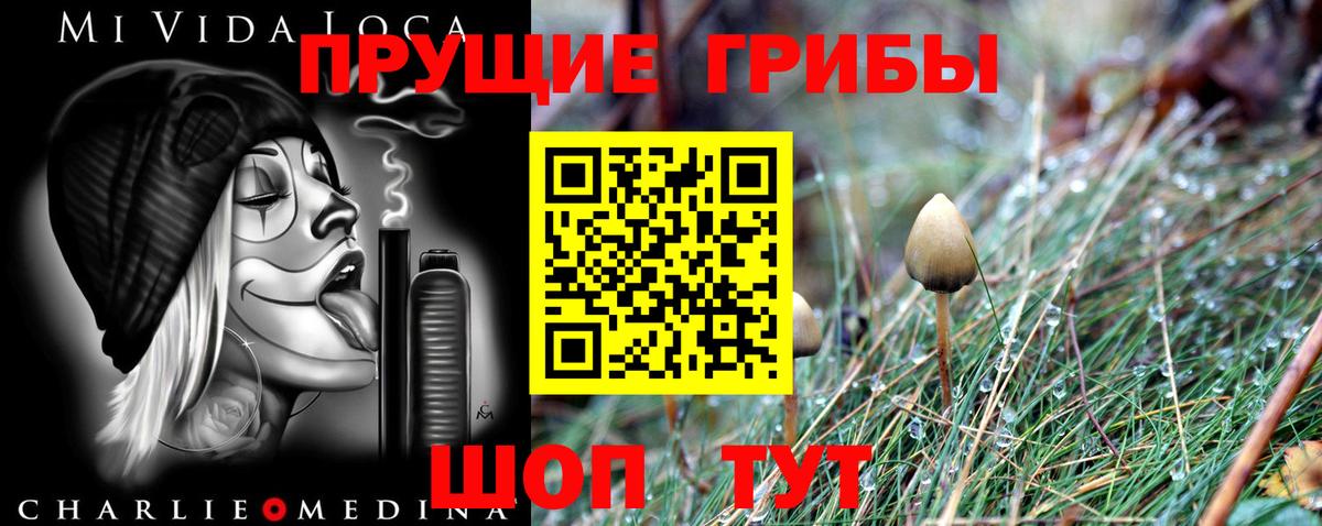 Псилоцибиновые грибы Magic Shrooms  Псилоцибиновые грибы MAGIC MUSHROOMS  Вход с VPN  Сальск 