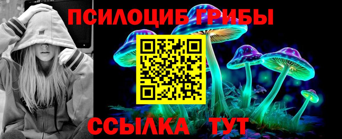 Галлюциногенные грибы Psilocybe Сальск